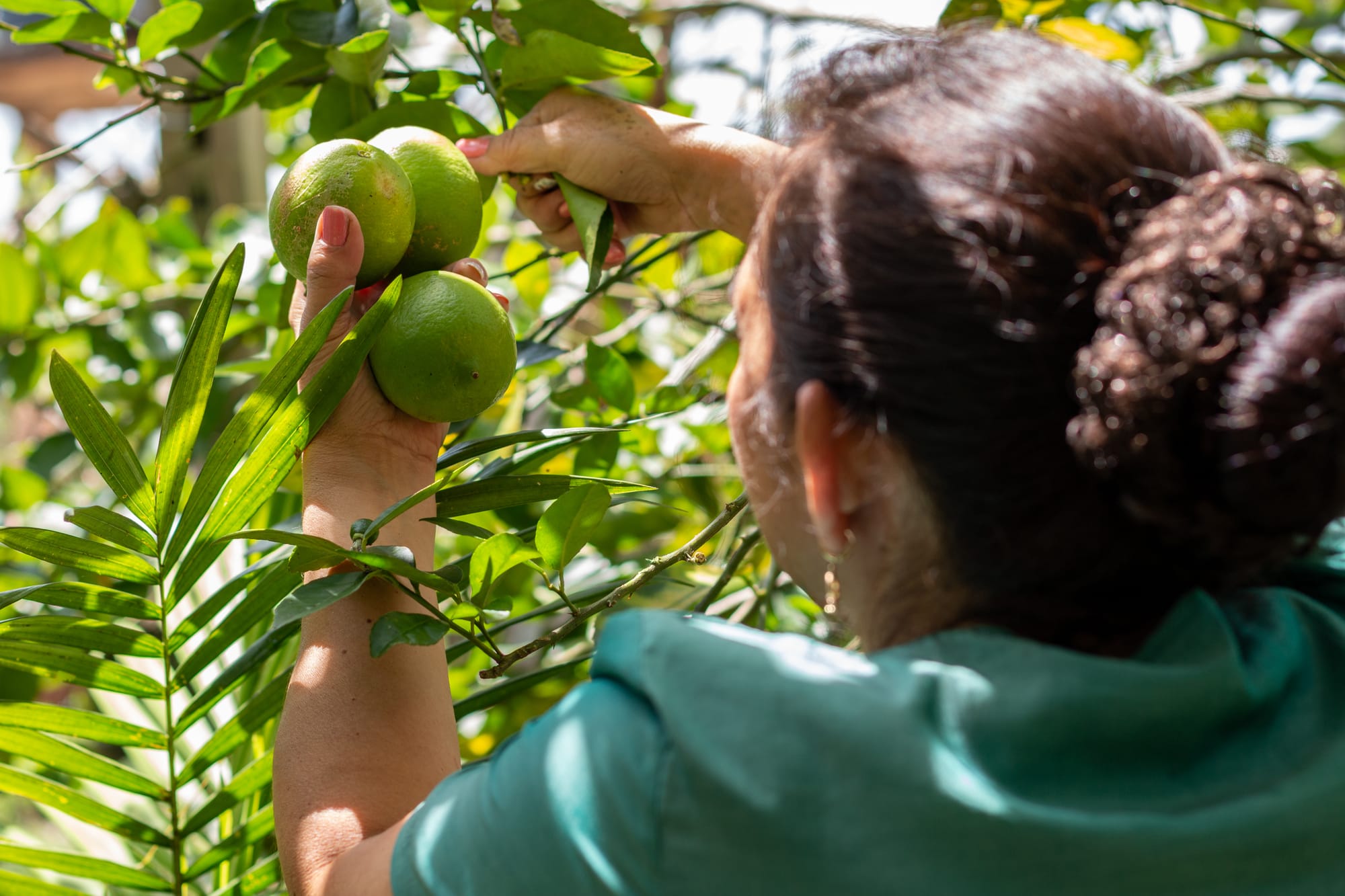 Cobro de piso: Nadie detiene al crimen