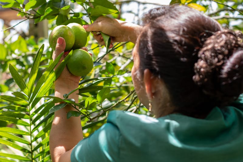 Cobro de piso: Nadie detiene al crimen imagen de publicación